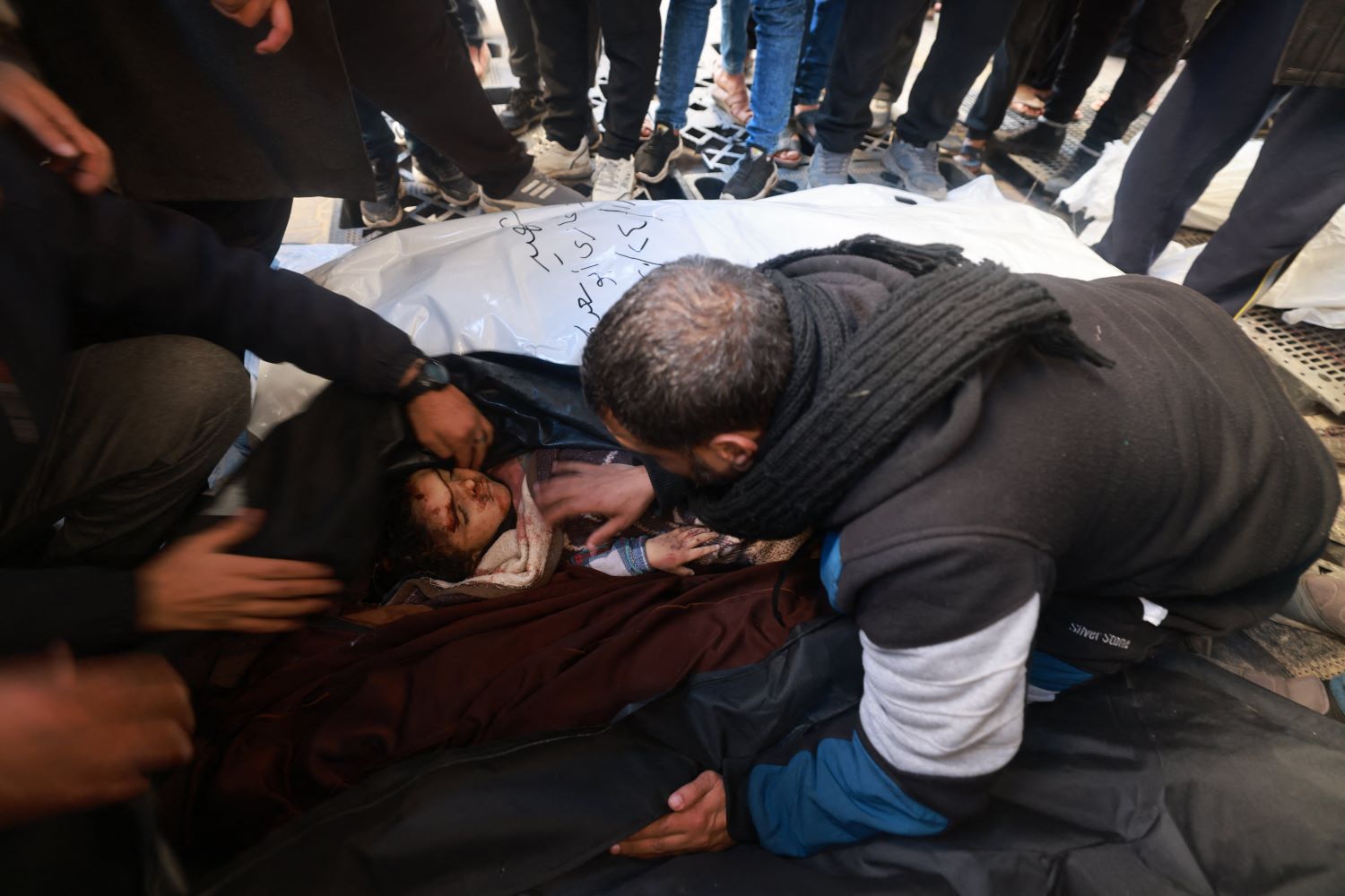 صورة أرشيفية